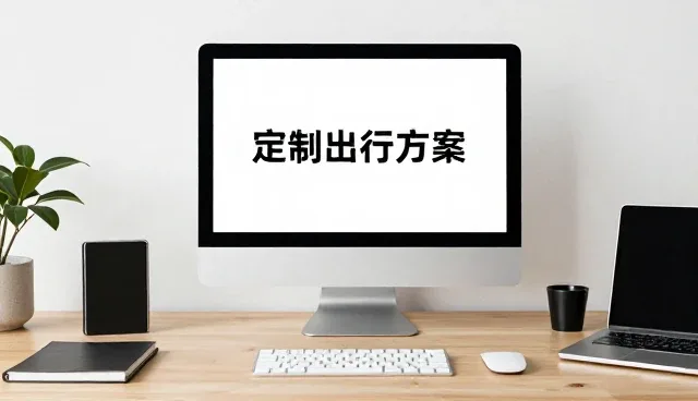 定制出行方案如何提升商务接待效率